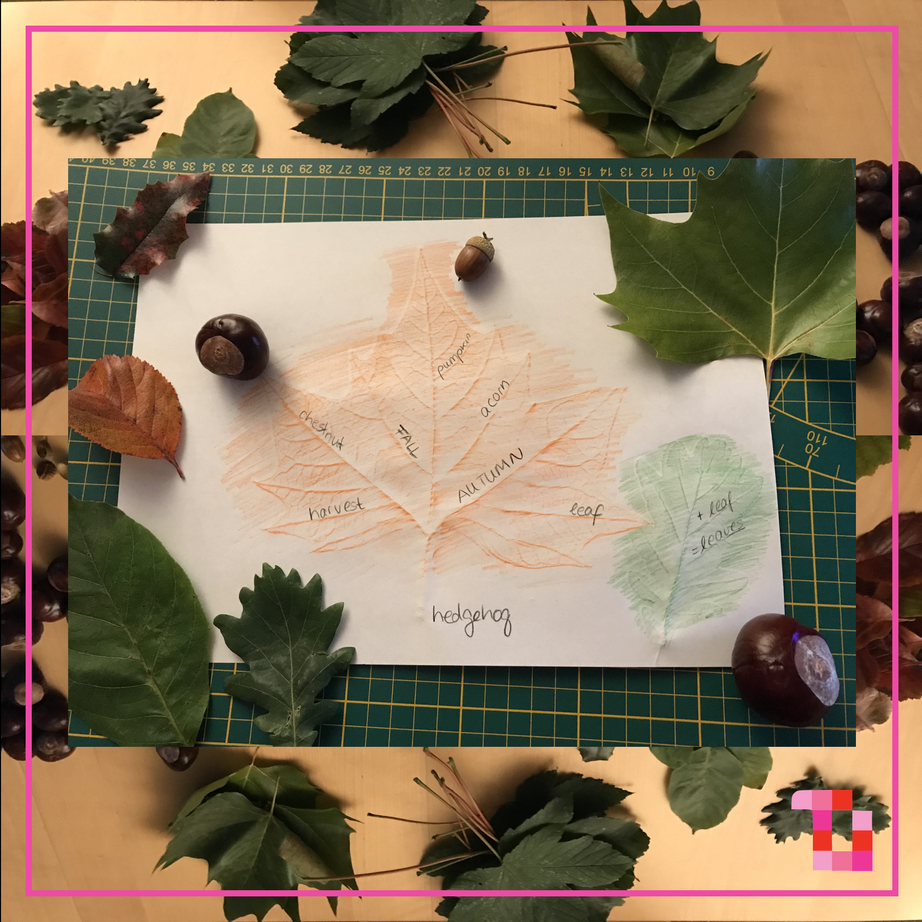 BEITRAGSBILD Herbststunde