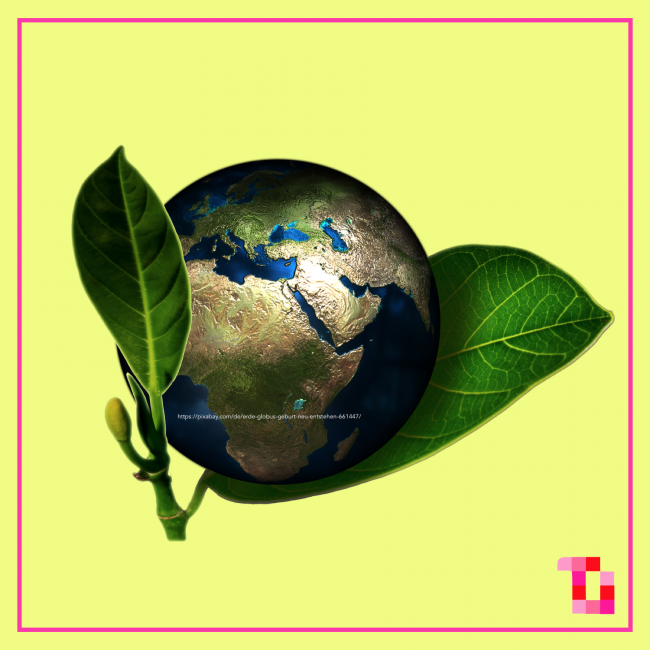 Beitragsbild Ecology Project